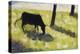 Black Cow in a Meadow, 1881-Georges Seurat-Premier Image Canvas