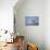 Black-Crowned Night Heron-Joe McDonald-Premier Image Canvas displayed on a wall