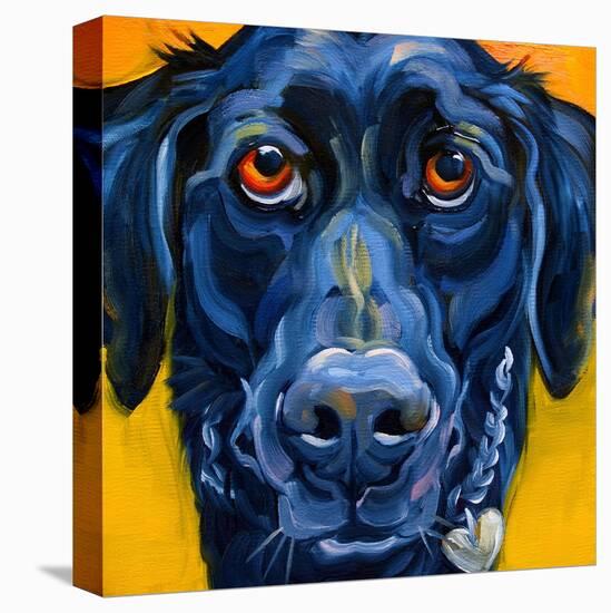 Black Dog-Connie R. Townsend-Stretched Canvas