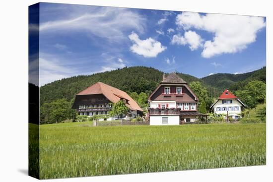 Black Forest Houses, Gutachtal Valley, Black Forest, Baden Wurttemberg, Germany, Europe-Markus Lange-Premier Image Canvas