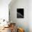 Black Heel Down-Erik Schottstaedt-Stretched Canvas displayed on a wall