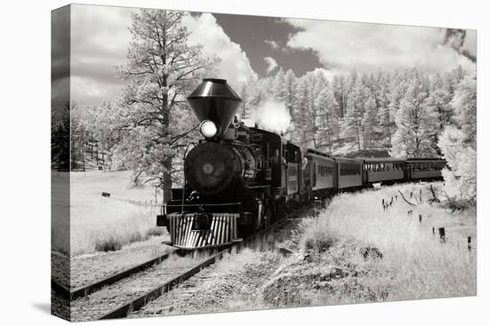 Black Hills RR II-George Johnson-Premier Image Canvas