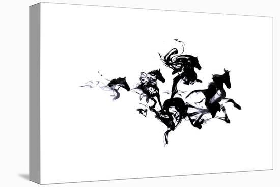 Black Horses-Robert Farkas-Premier Image Canvas