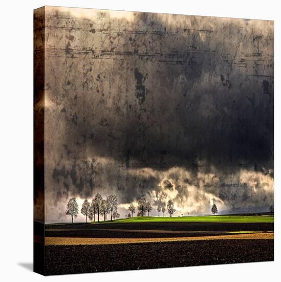 Black Ink Sky-Philippe Sainte-Laudy-Premier Image Canvas