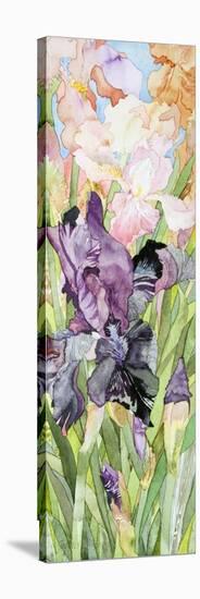 Black Iris-Sharon Pitts-Premier Image Canvas