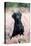 Black Labrador Dog in Heather-null-Premier Image Canvas