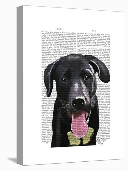 Black Labrador Plain-Fab Funky-Stretched Canvas