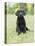 Black Labrador Puppy-Jim Craigmyle-Premier Image Canvas