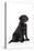 Black Labrador Sitting-null-Premier Image Canvas