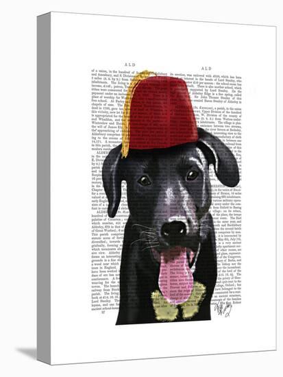 Black Labrador with Fez-Fab Funky-Stretched Canvas