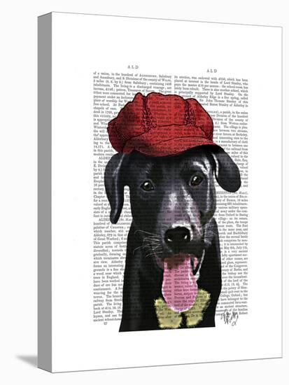 Black Labrador with Red Cap-Fab Funky-Stretched Canvas