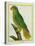 Black-Lored Parrot-Georges-Louis Buffon-Premier Image Canvas