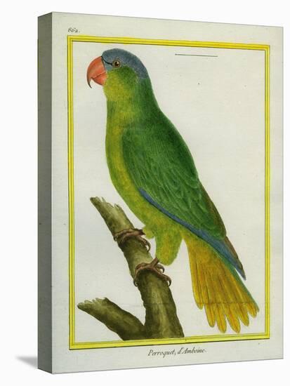 Black-Lored Parrot-Georges-Louis Buffon-Premier Image Canvas