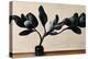 Black Magnolia-null-Premier Image Canvas