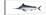 Black Marlin (Istiompax Indica), Fishes-Encyclopaedia Britannica-Stretched Canvas