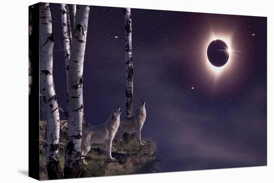 Black Moon (Eclipse 2017)-Gordon Semmens-Premier Image Canvas