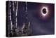 Black Moon (Eclipse 2017)-Gordon Semmens-Premier Image Canvas