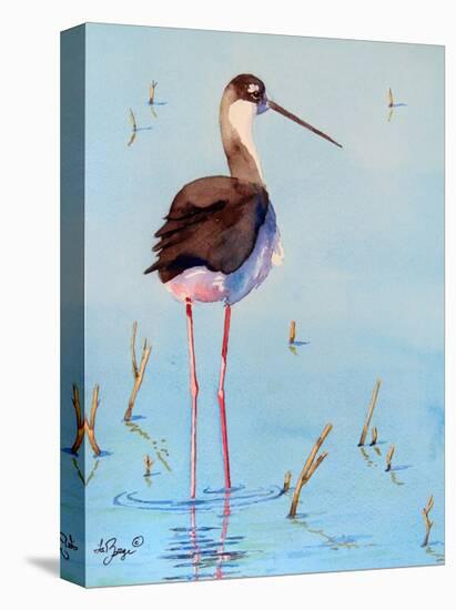 Black Neck Stilt III-Nancy LaBerge Muren-Stretched Canvas