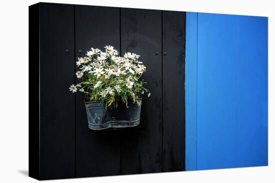 Black on Blue-Philippe Sainte-Laudy-Premier Image Canvas