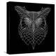 Black Owl Mesh-Lisa Kroll-Stretched Canvas