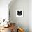 Black Panda-Lisa Kroll-Stretched Canvas displayed on a wall