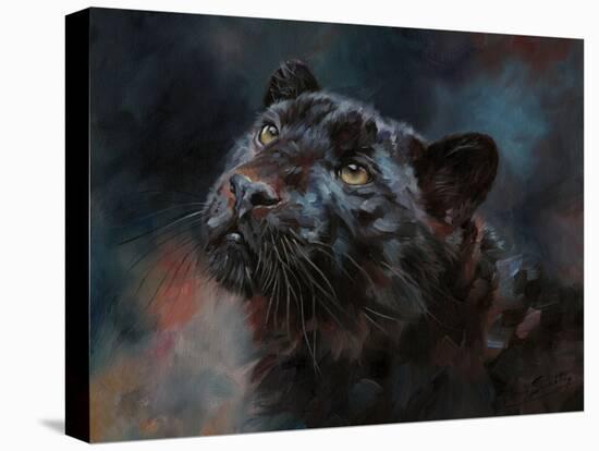 Black Panther 3-David Stribbling-Stretched Canvas