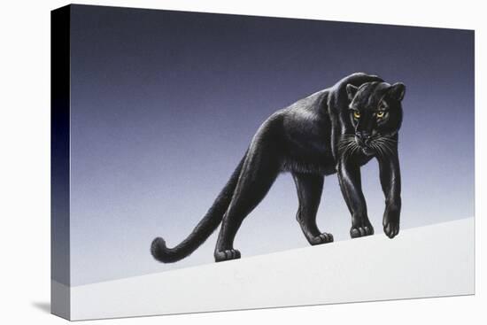Black Panther-Harro Maass-Premier Image Canvas