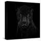 Black Panther-Mathilde Guillemot-Premier Image Canvas