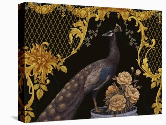 Black Peacock-Maria Rytova-Premier Image Canvas