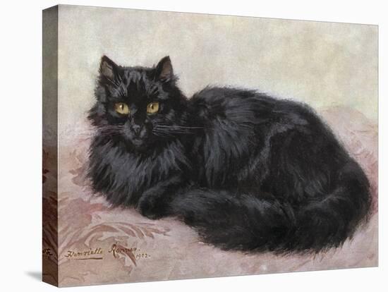 Black Persian Cat-null-Stretched Canvas