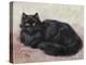 Black Persian Cat-null-Stretched Canvas