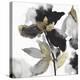 Black Petals Gold Leaves II-Asia Jensen-Stretched Canvas