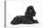 Black Poodle Lying Down-null-Premier Image Canvas