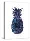 Black Purple Pineapple-Amanda Greenwood-Stretched Canvas