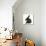 Black Rabbit with Windmill Ears-Mark Taylor-Premier Image Canvas displayed on a wall