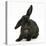 Black Rabbit with Windmill Ears-Mark Taylor-Premier Image Canvas