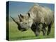 Black Rhino Portrait, Ngorongoro Nr, Tanzania-Staffan Widstrand-Premier Image Canvas