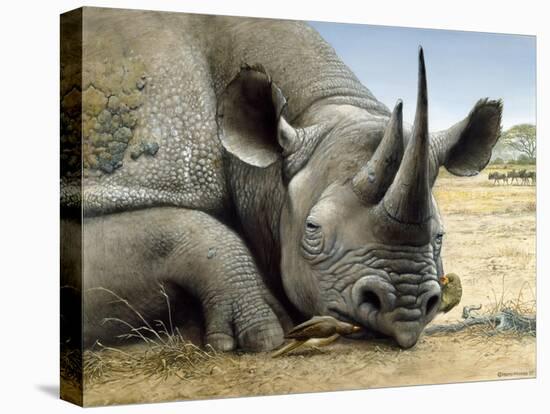 Black Rhino-Harro Maass-Premier Image Canvas