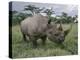 Black Rhinoceros, Kenya-Adam Jones-Premier Image Canvas