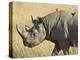 Black Rhinoceros or Hook-Lipped Rhinoceros with Yellow-Billed Oxpecker, Kenya, Africa-James Hager-Premier Image Canvas