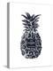 Black Silver Pineapple-Amanda Greenwood-Stretched Canvas