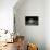 Black-Spotted Stingray (Taeniura Meyeni).-Reinhard Dirscherl-Premier Image Canvas displayed on a wall
