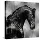 Black Stallion on Silver-Martin Rose-Stretched Canvas