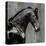 Black Stallion-Martin Rose-Stretched Canvas