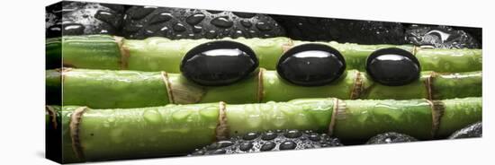 Black Stones on Bamboo-Uwe Merkel-Premier Image Canvas