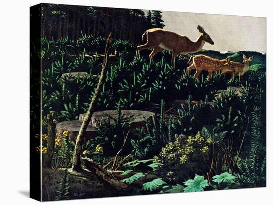 Black Tail Deer-Stan Galli-Premier Image Canvas