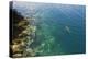 Black Tipped Sharks in the Crystal Clear Waters of the Marovo Lagoon, Solomon Islands, Pacific-Michael Runkel-Premier Image Canvas