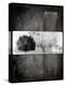 Black Tree 1-LightBoxJournal-Premier Image Canvas