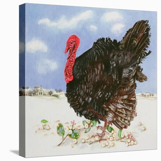 Black Turkey with Snow Berries, 1996-E.B. Watts-Premier Image Canvas