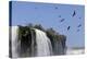 Black Vultures (Coragyps Atratus) In Flight Over Iguazu Falls-Angelo Gandolfi-Premier Image Canvas